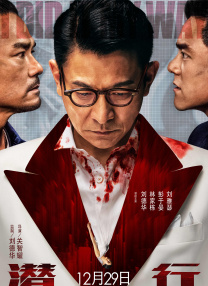 国产综合视频在线观看一区